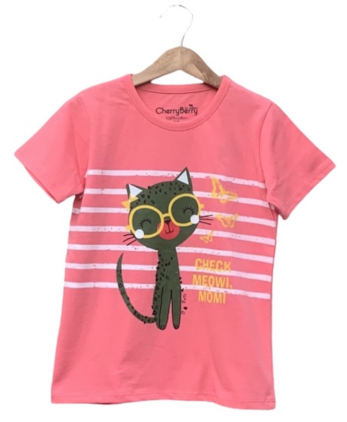 cat lover T-shirt