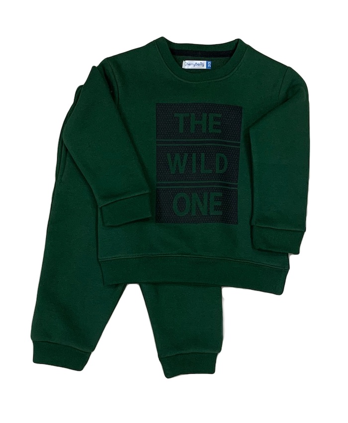 Boys toddler sweatsuit